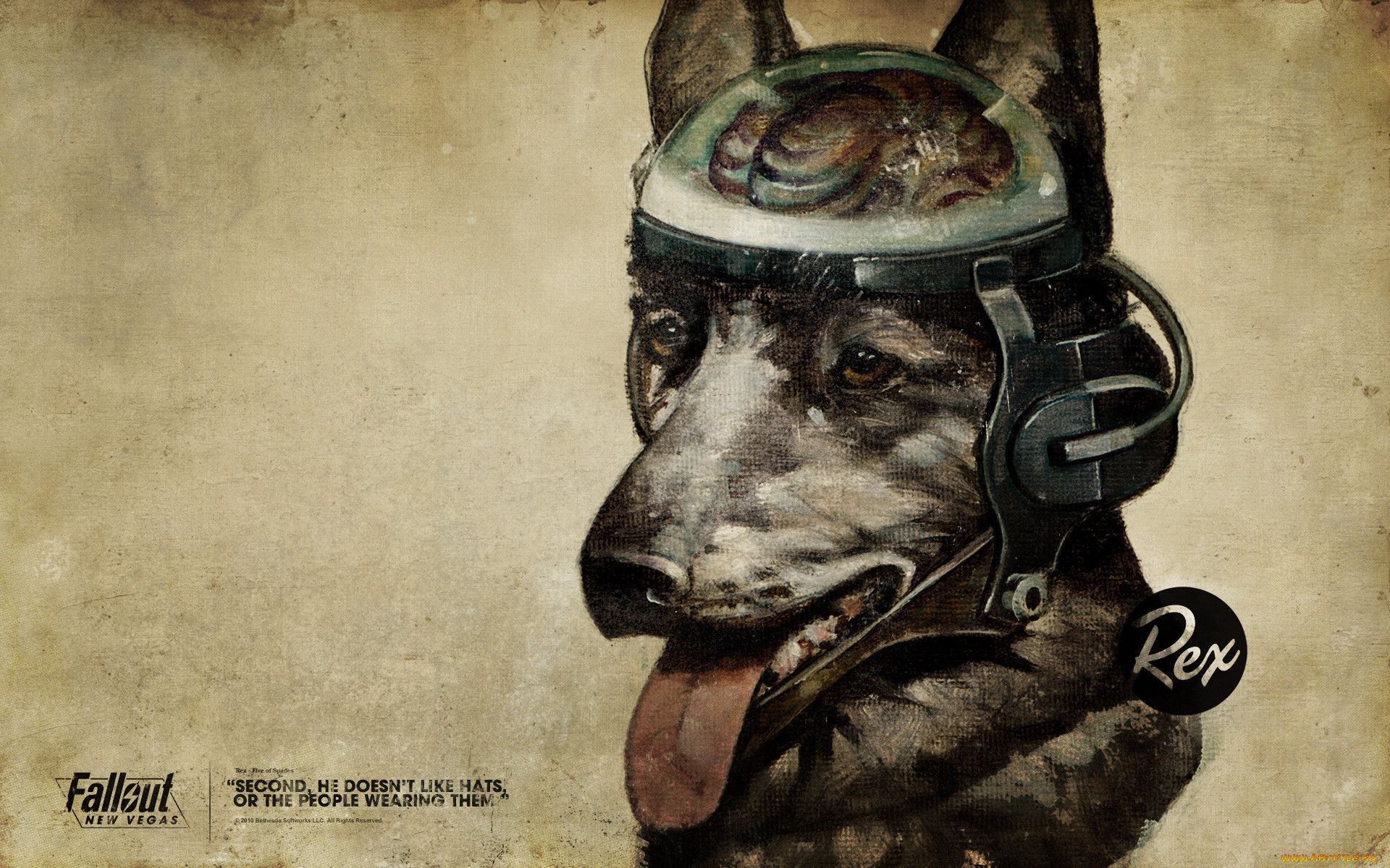 rex, , , fallout, new, vegas